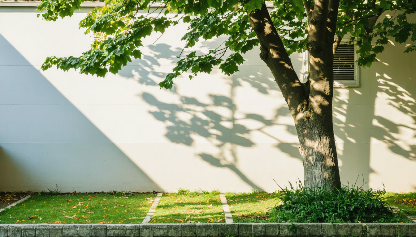 Entdecken Sie Ihre Rechte, wenn der von Ihrem Nachbarn an der Grenze Ihres Grundstücks gepflanzte Baum Schatten wirft. Informieren Sie sich über Vorschriften und mögliche Rechtsmittel.